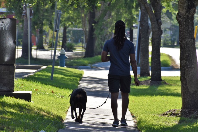 Pet Owner jogging in the park with a dog